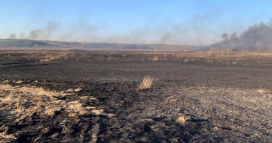 Фото – На Волині затримали палія, через якого згоріло понад 100 га угідь. Фото