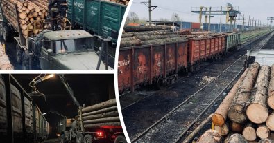 Фото – На Закарпатті вилучену в "ділків" незаконно зрубану деревину передадуть ЗСУ.
