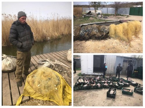 В Одесской области поймали браконьера, который "нарыбалил" на 850 тысяч гривен. Фото