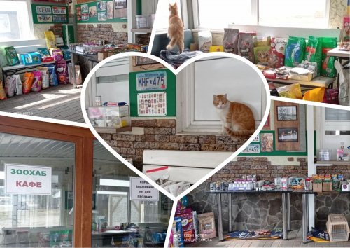 На Львовщине открыли благотворительный зоомагазин для беженцев с животными