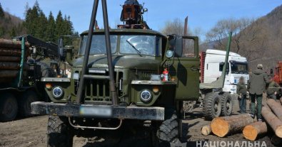 Фото – Закарпатські поліціянти конфіскували вантажівку з нелегальною деревиною на потреби ЗСУ
