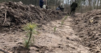Фото – В Киеве высадили полгектара нового леса. Фото