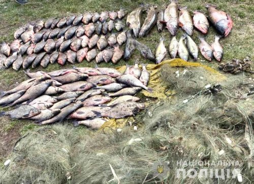 На Полтавщине в заповеднике поймали браконьеров с уловом в 100 кг. Фото