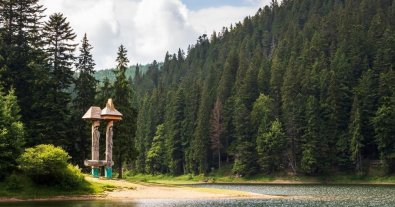 Фото – На Закарпатті переселенці долучилися до екоакції з прибирання парку "Синевир". Фото