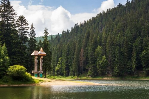 На Закарпатті переселенці долучилися до екоакції з прибирання парку "Синевир". Фото