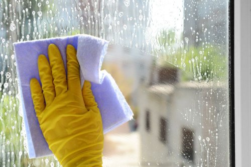 Как помыть окна перед Пасхой без вреда окружающей среде: 5 действенных советов