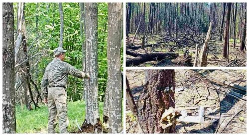 In Zhytomyr region one downed plane caused losses of millions of UAH. Photo