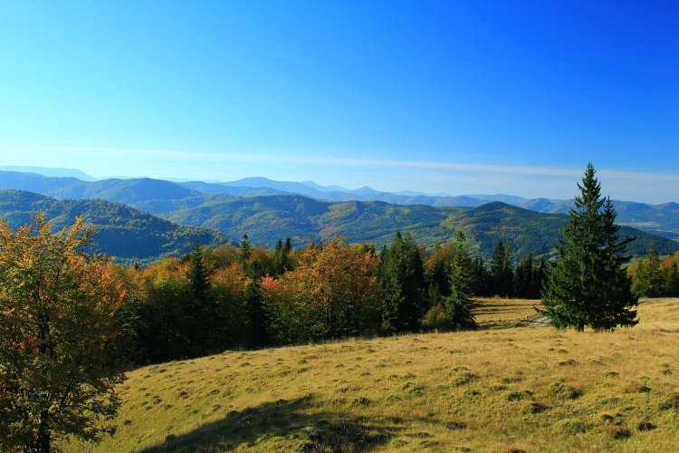 На Франковщине расширят границы национального парка "Синегора"