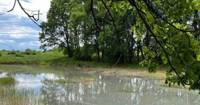 Фото – Під Харковом виникла екологічна катастрофа. Фото та відео
