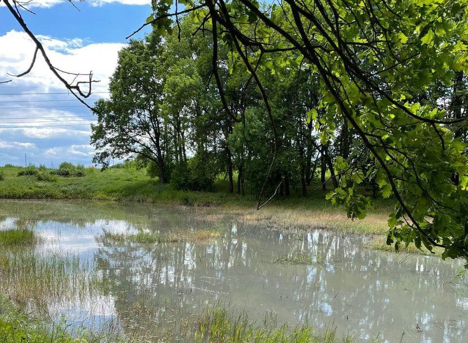 Фото – Під Харковом виникла екологічна катастрофа. Фото та відео