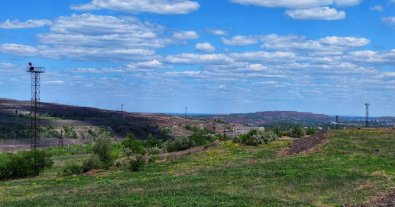 Photo – In Kryvyi Rih, the plant's tailings are being turned into flowering fields. Photo