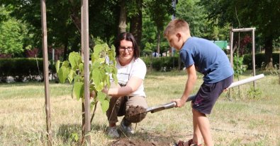 Фото – Переселенці в Дніпрі висадили рідкісні дерева в знак подяки за прихисток. Фото