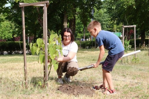 Immigrants in the Dnipro planted rare trees in gratitude for the shelter. Photo