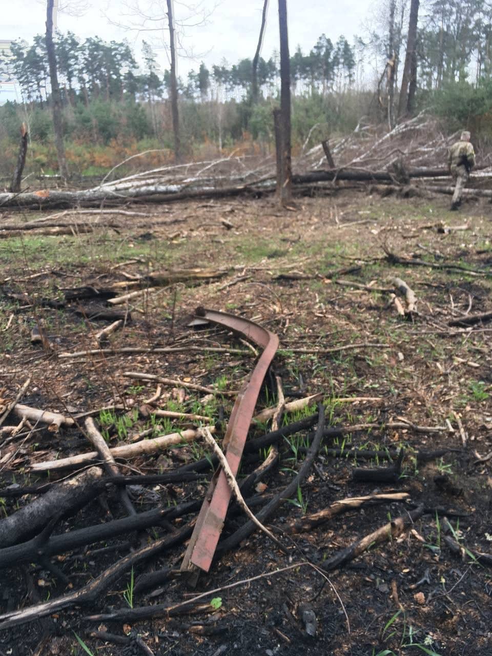 На Чернігівщини збитки для лісу від бомбардувань склали 3,4 мільярда грн. Фото