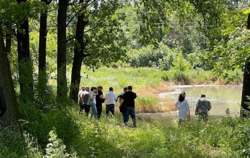 Environmental disaster near Kharkiv: the prosecutor's office began investigation the pollution of the lake