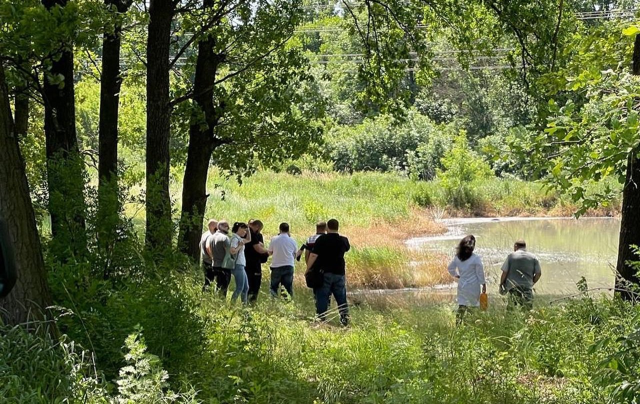 Photo – Environmental disaster near Kharkiv: the prosecutor's office began investigation the pollution of the lake