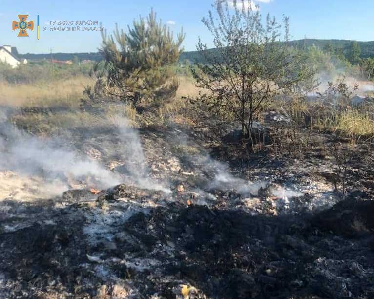 Photo – "It only brings trouble": in the Lviv region extinguished 2 more fires from burning grass. Photo