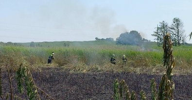 Фото – "Чем вы отличаетесь от оккупанта": спасатели продолжают тушить пожары от поджогов
