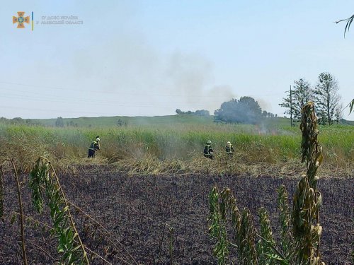 "Чем вы отличаетесь от оккупанта": спасатели продолжают тушить пожары от поджогов