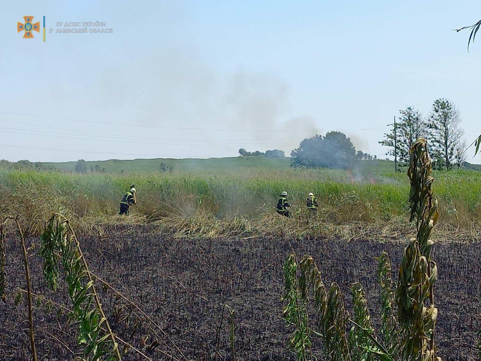 Photo – "How are you different from the occupier": rescuers continue to put out fires from arson