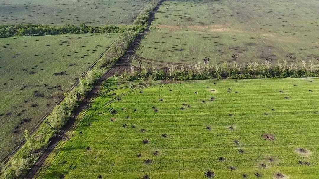 Photo – Scorched and polluted land: how Russia's war of aggression is killing Ukrainian soil