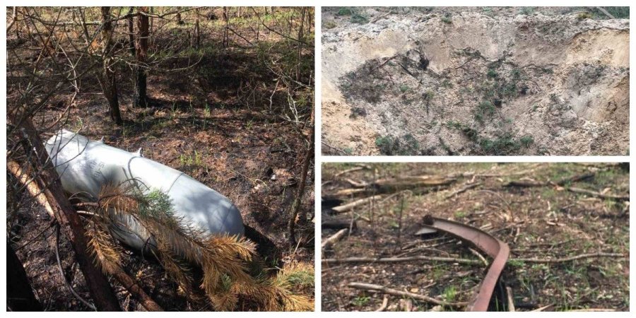 На Чернігівщини збитки для лісу від бомбардувань склали 3,4 млрд грн. Фото