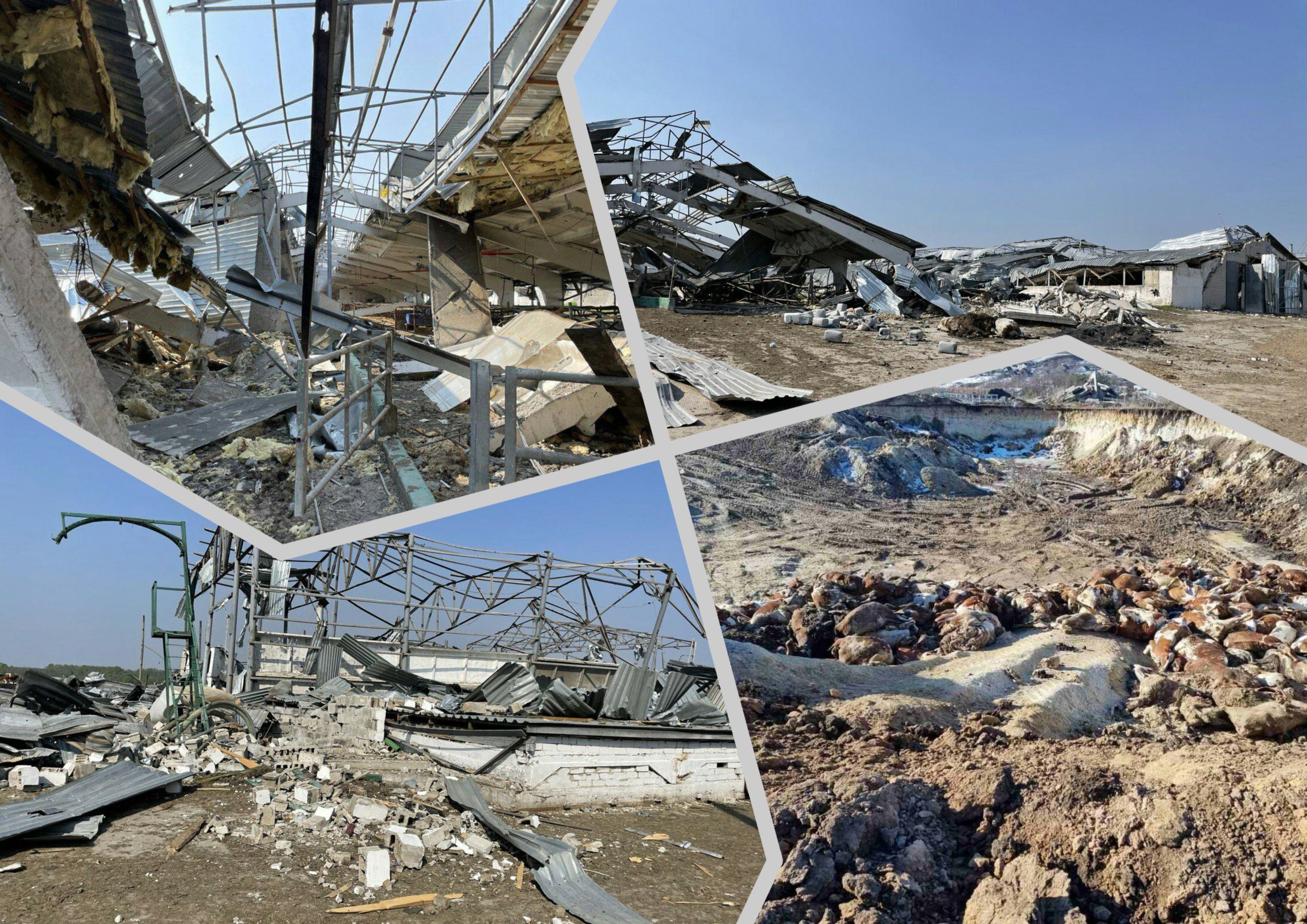 Photo – In the Kharkiv region the Russians destroyed an agricultural complex