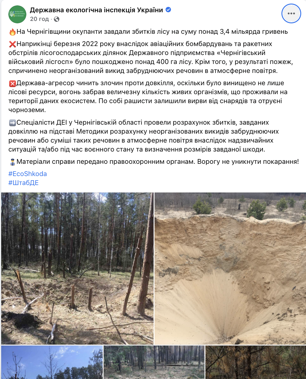На Чернігівщини збитки для лісу від бомбардувань склали 3,4 мільярда грн. Фото