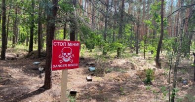 Photo – The nature of Ukraine is destroyed by russian troops for hundreds billions