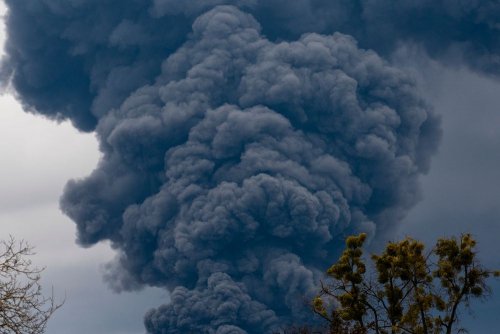 Environmental damage caused by Russian shelling calculated in Zhytomyr region