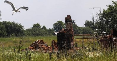 Фото – Названі наслідки для довкілля України від війни за тиждень 23-29 червня. Дайджест