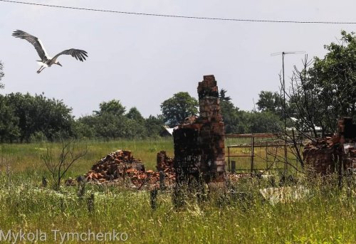 Війна в Україні покращила стан моніторингу довкілля – Стрілець