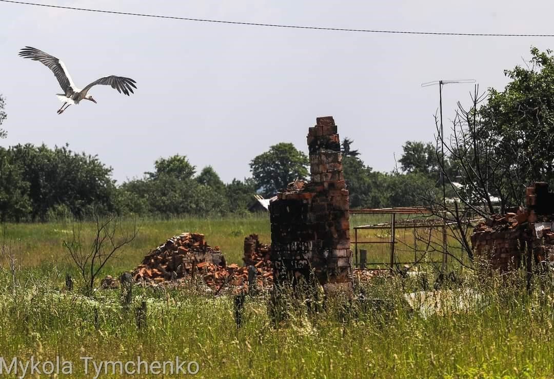 Фото – Війна завдала довкіллю України 1,37 трильйона гривень екозбитків