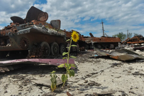During half a year of war, damage to Ukraine's environment reached 1 trillion hryvnias, – Strilets