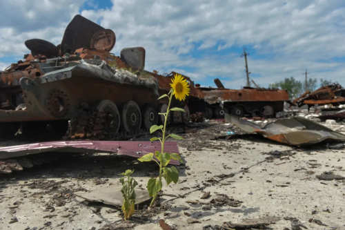 За пів року війни збитки довкіллю України сягнули 1 трильйона гривень, – Стрілець