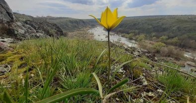 Фото – На Київщині створили 9 нових заповідних об’єктів