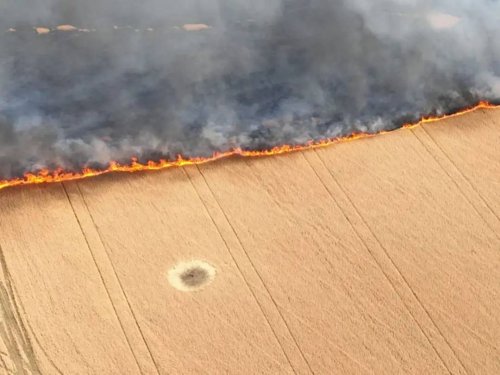 "Горит не пшеница, а продовольственная безопасность": в Украине обстрелы сожгли поля