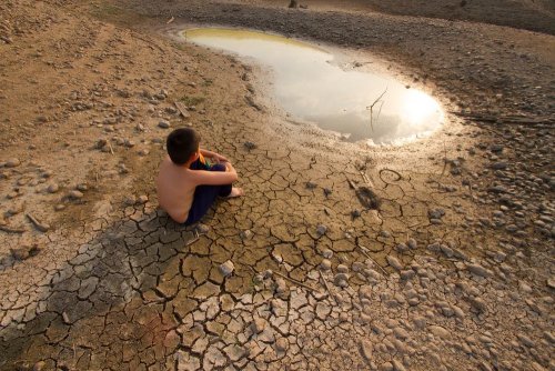 The fight against climate change is a moral duty of humanity, - the Pope