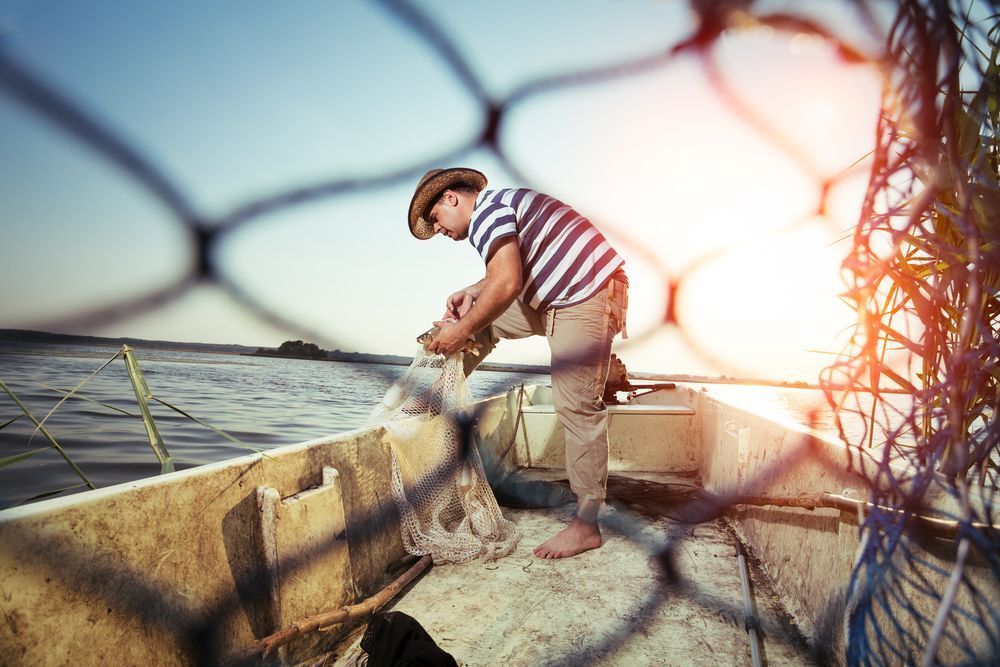 Photo – Poachers fished for millions of UAH in the prohibited zone. Photo