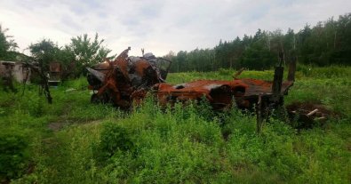 Фото – Озвучені ключові збитки природі України від війни за 11-17 серпня. Дайджест