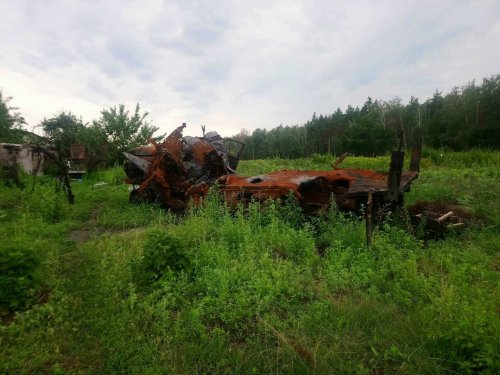 The key damage to Ukraine's nature from the August 11-17 war. Digest