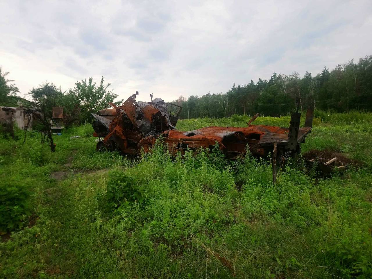 Photo – The key damage to Ukraine's nature from the August 11-17 war. Digest