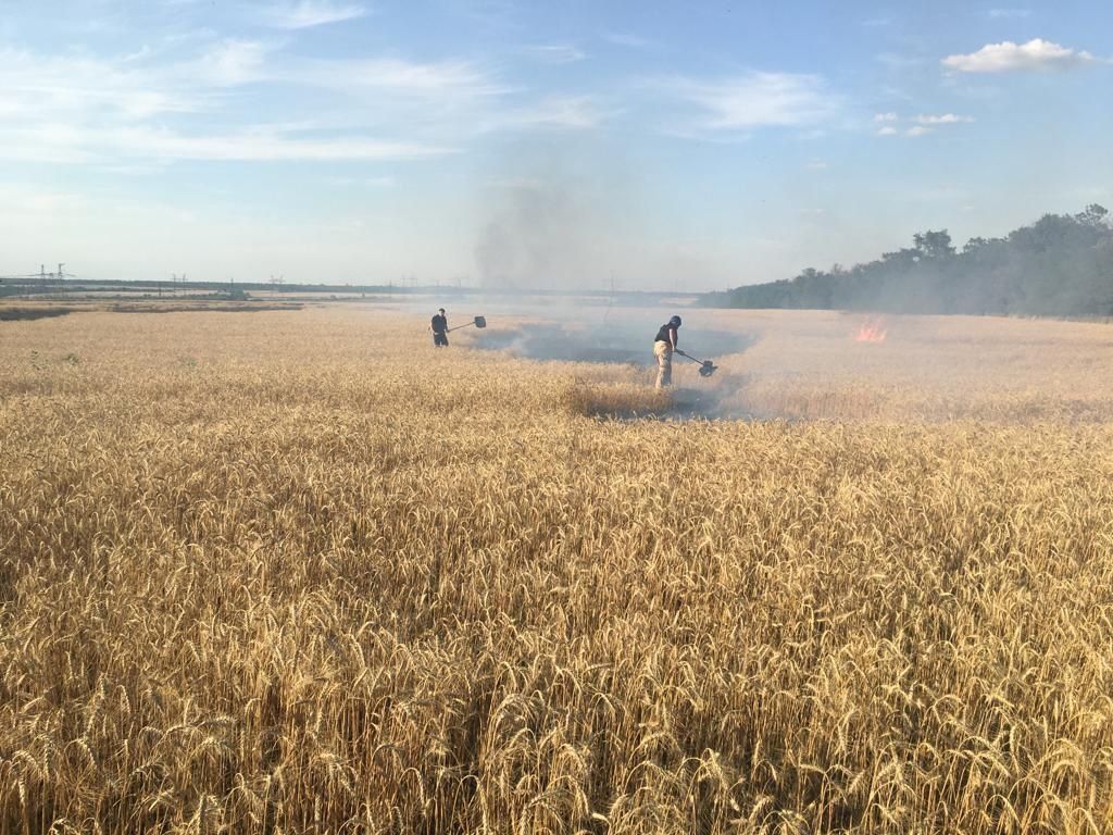 В двох областях України війська рф спалили гектари пшениці та сухостою. Фото. Відео