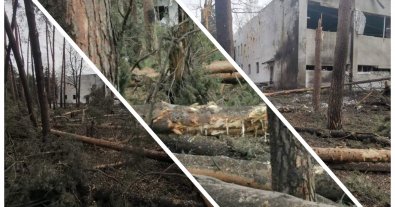 Фото – На Сумщині авіаудар по "Сонячній Поляні" завдав мільйонних збитків природі. Фото