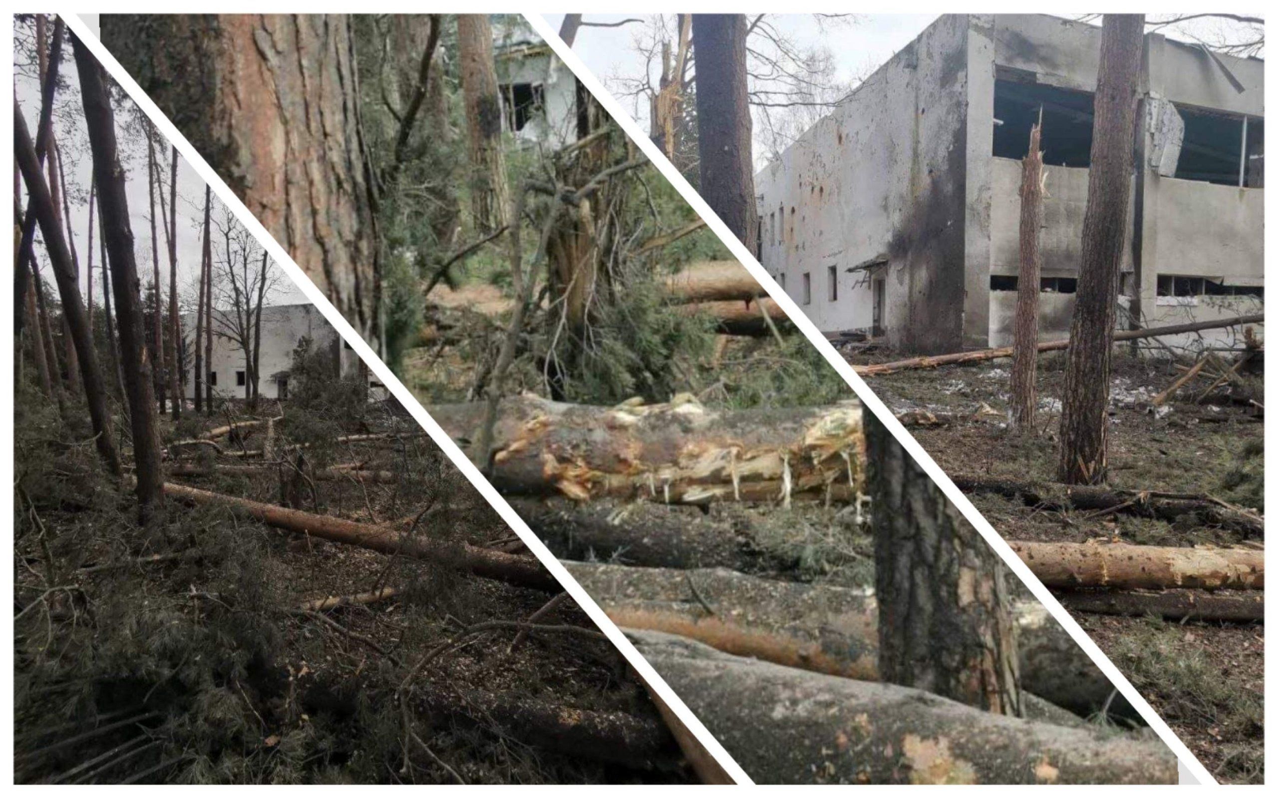 Фото – На Сумщині авіаудар по "Сонячній Поляні" завдав мільйонних збитків природі. Фото