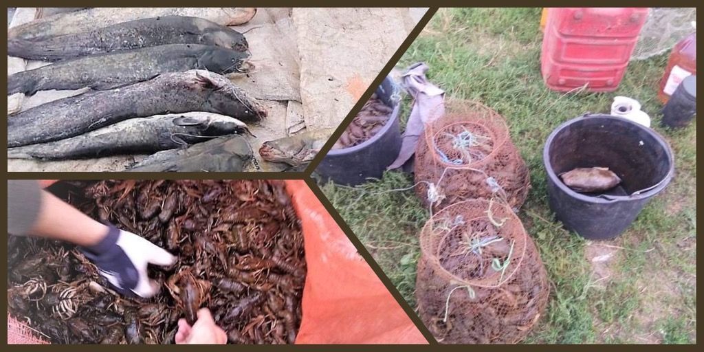 Photo – A poacher was caught for a fishing worth millions of hryvnias. A photo