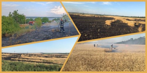 В двух областях Украины войска рф сожгли гектары пшеницы и сухостоя. Фото. Видео