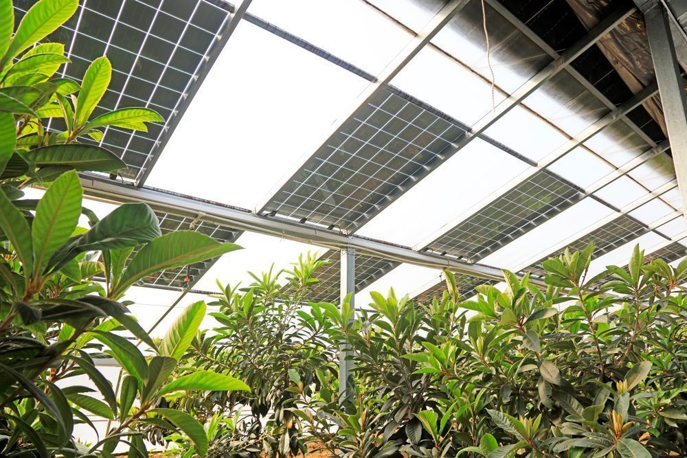 Photo – The method of increasing the efficiency of farms with the help of green technologies