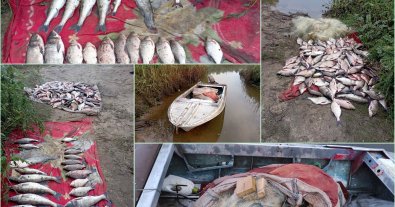 Фото – На Кіровоградщині браконьєри нарибалили на пів мільйона гривень