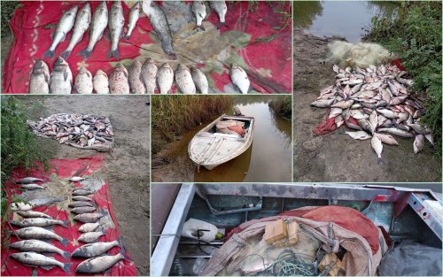 В Кировоградской области браконьеры нарыбачили на полмиллиона гривен